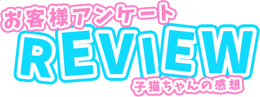 子猫ちゃんの感想 お客様アンケート 激安ハイコスパ風俗 渋谷素人ピストン学園 制服にゃんにゃん